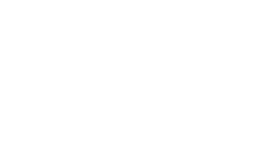 KamKoza